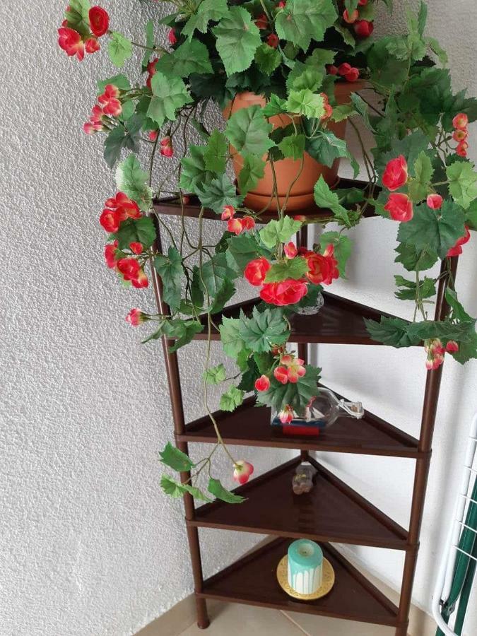 Apartment Duba Senj  Εξωτερικό φωτογραφία